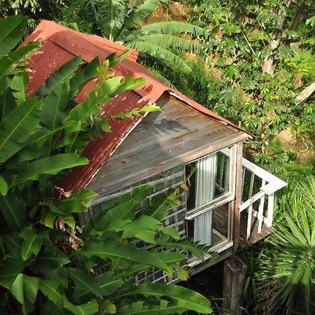 Mount Edge Guest House Port Antonio Exterior photo