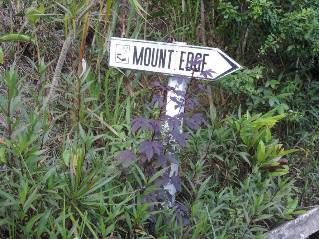 Mount Edge Guest House Port Antonio Exterior photo