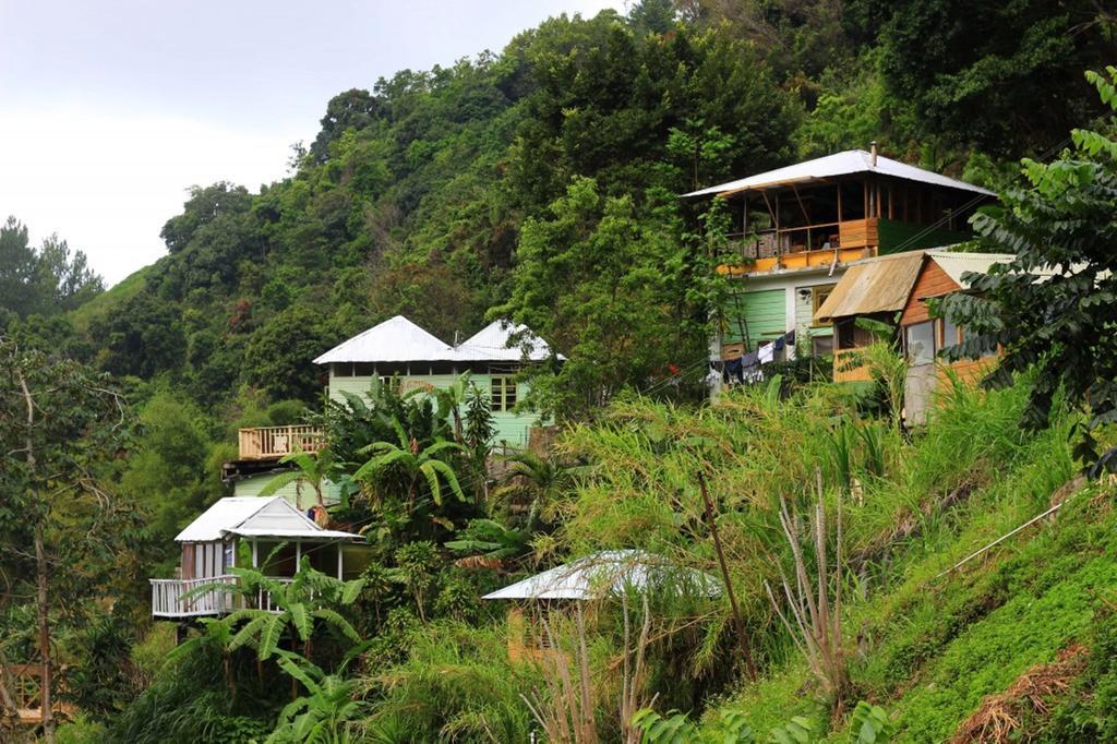 Mount Edge Guest House Port Antonio Exterior photo