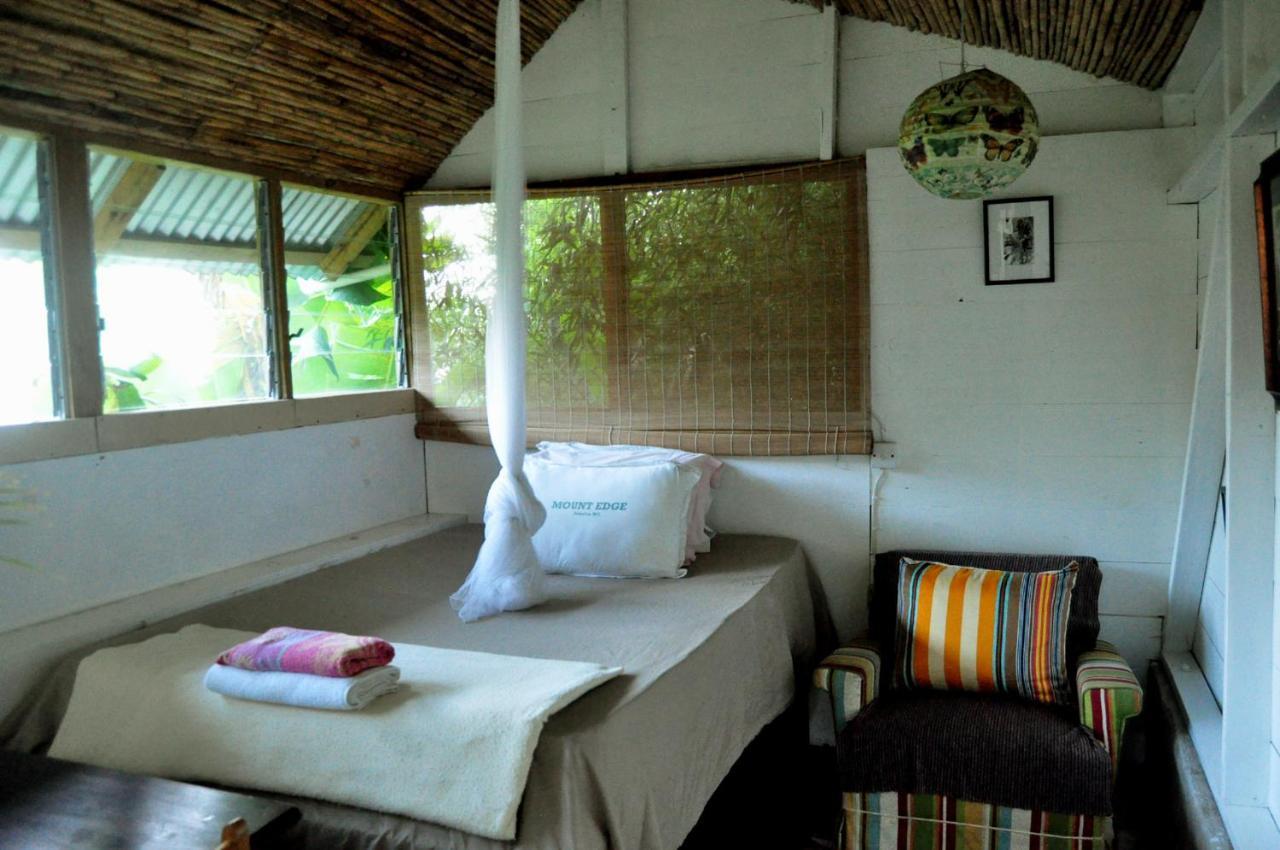 Mount Edge Guest House Port Antonio Exterior photo